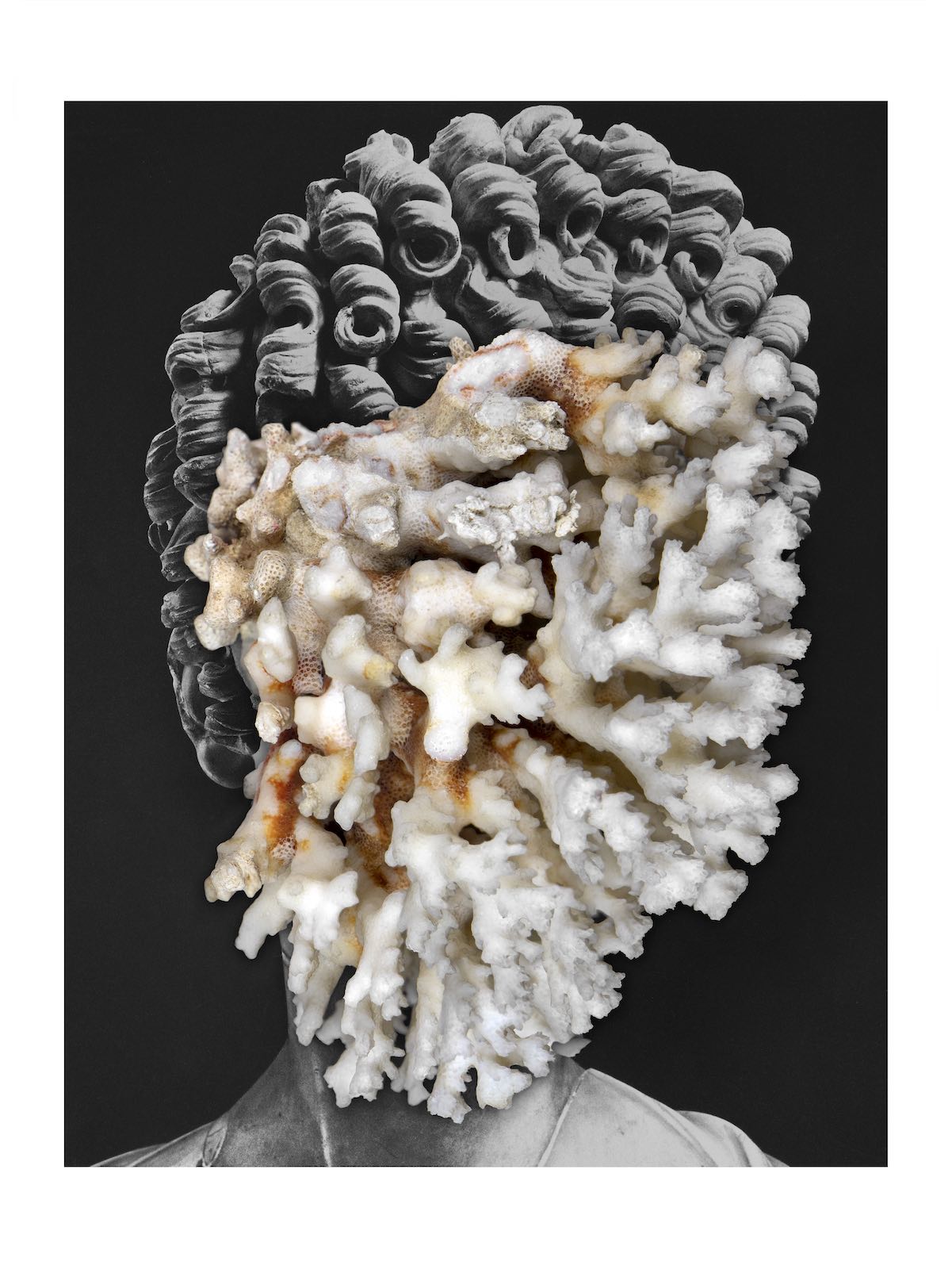 Nicolás Lamas, Posthuman Portrait (Coral), 2021 Digital collage, archival pigment print, 90 × 67,5 cm Courtesy of the artist and Meessen De Clercq, Brussels